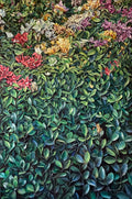 Brise d'azur et bougainvillier