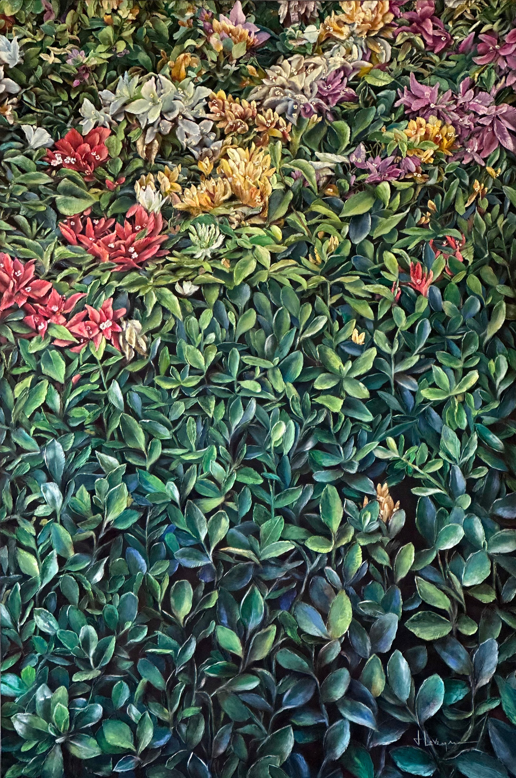 Brise d'azur et bougainvillier