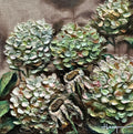 Fleurs d'octobre