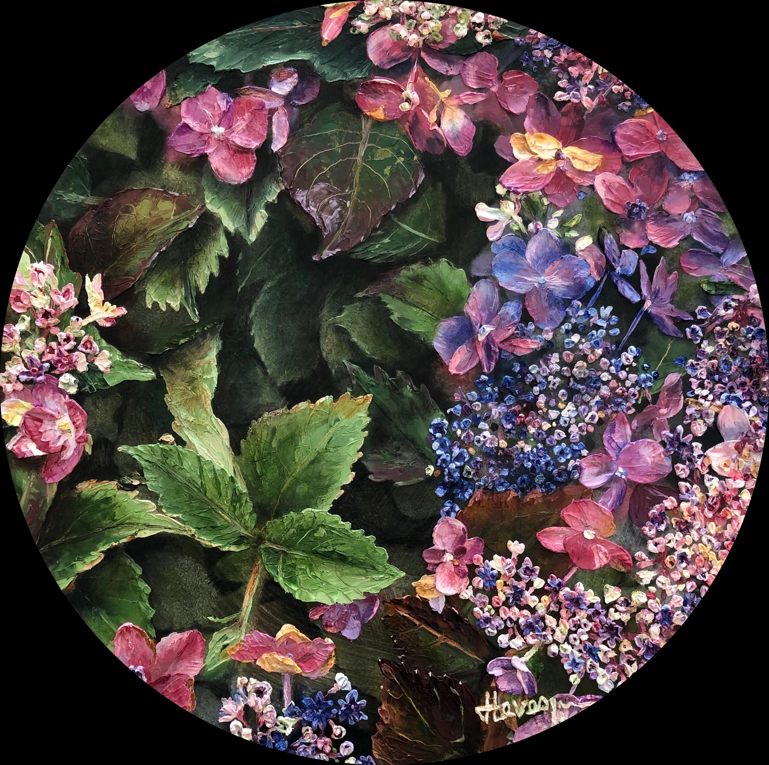 Hydrangeas Grayswood 1