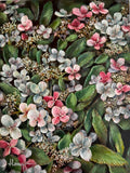 Hydrangea paniculata rose