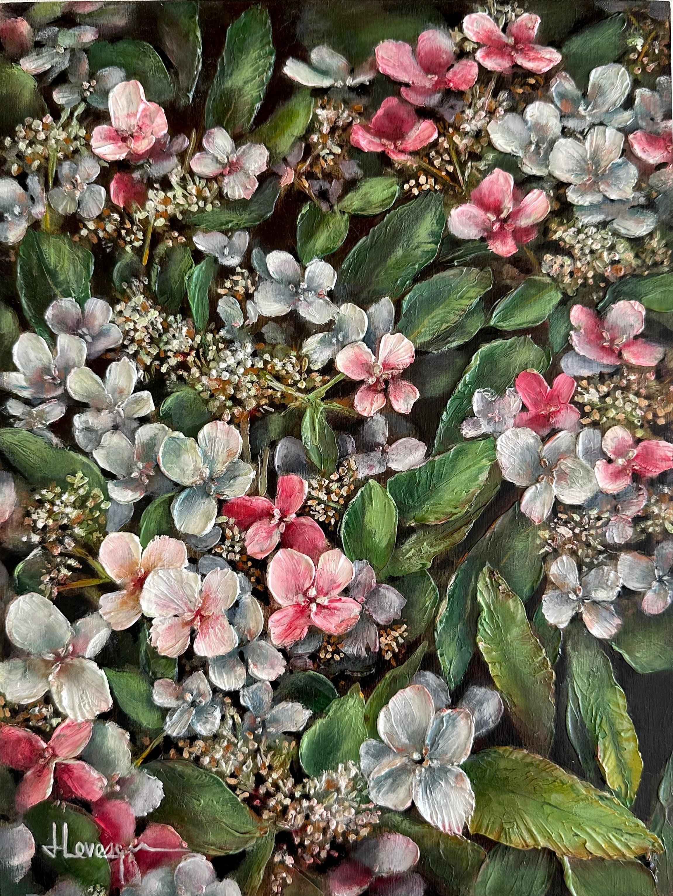 Hydrangea paniculata rose