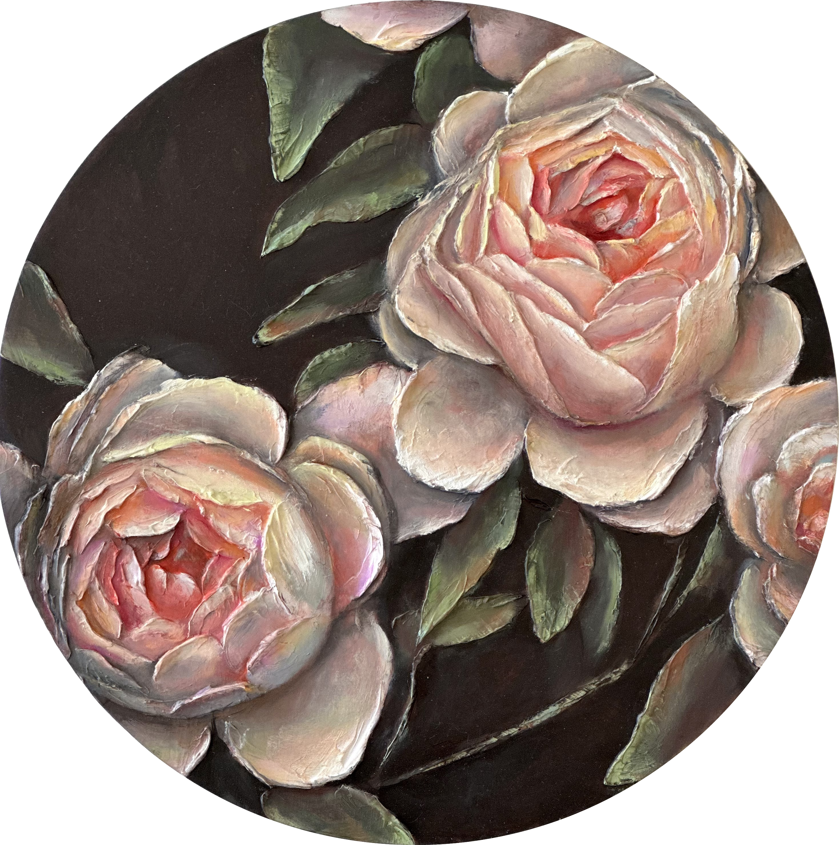 Roses vibrantes